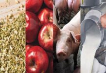 Desde la Cámara de Diputados pidieron informes al Gobierno sobre la crisis en las economías regionales