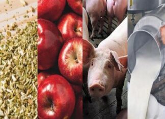 Desde la Cámara de Diputados pidieron informes al Gobierno sobre la crisis en las economías regionales