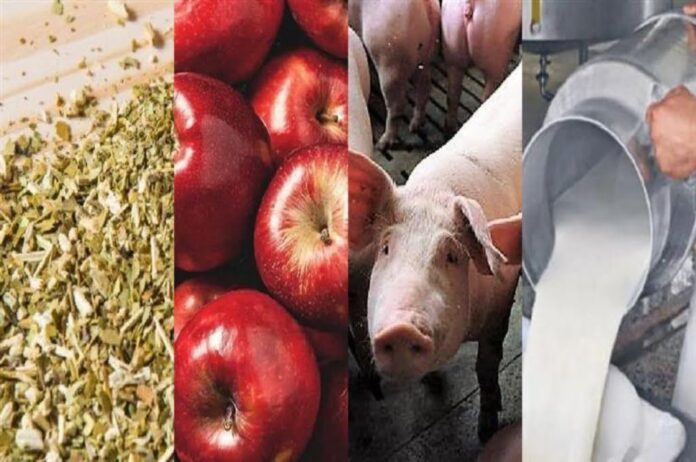 ECONOMIAS-REGIONALES-II