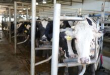 Ambiente entregó el primer certificado de Registro de Huella de Carbono a una industria láctea