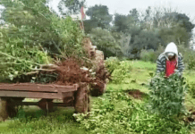 Algunas Economías regionales siguen complicadas