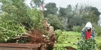 Algunas Economías regionales siguen complicadas