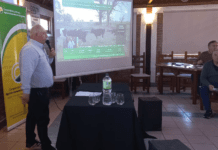 Sinergia y hacienda de calidad: la apuesta de Alianza Ganadera