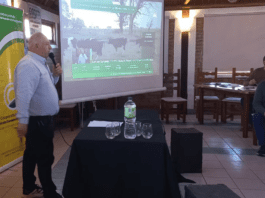 Sinergia y hacienda de calidad: la apuesta de Alianza Ganadera