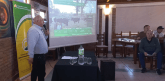 Sinergia y hacienda de calidad: la apuesta de Alianza Ganadera