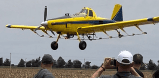 La receta argentina contra la langosta que sorprende al mundo