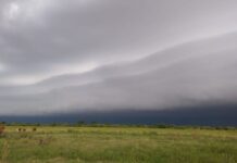 Se reactivó el movimiento de compra de campos en la región núcleo