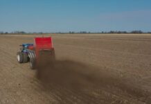 El uso de estiércol puede elevar hasta 26% los rindes de maíz y soja