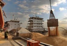 Por los feriados y las huelgas, la liquidación de los agroexportadores cayó 30% en febrero