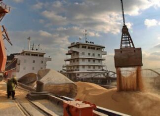 Por los feriados y las huelgas, la liquidación de los agroexportadores cayó 30% en febrero