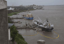 Exportaciones récord: el primer trimestre refuerza la proyección del mejor año de la historia