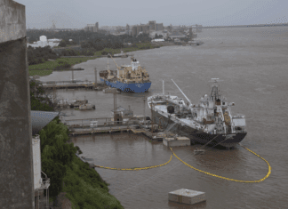 Exportaciones récord: el primer trimestre refuerza la proyección del mejor año de la historia