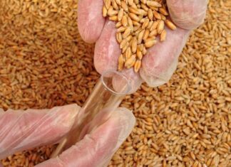 El Gobierno redefinió la estructura del Inase: qué cambia en su funcionamiento interno