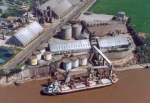 Récord para la descarga de granos en los puertos argentinos