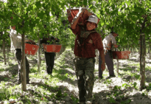 Entró en vigencia la reforma laboral: principales cambios en contratación, despidos y jornada de trabajo