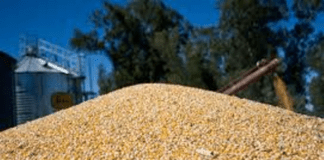 Se abrió la inscripción para exportadores de granos de cebada, trigo, soja, sorgo y maíz a China