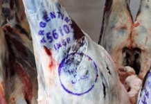 Las ventas externas de carne vacuna aumentaron en marzo más de 36%