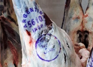 Las ventas externas de carne vacuna aumentaron en marzo más de 36%