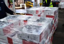 Las exportaciones del primer trimestre superaron los U$S 1.000 millones