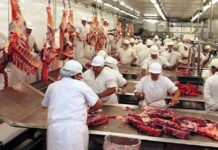 El complejo cárnico en 2025 sumo exportaciones por mas de U$S 4200 M en 2025