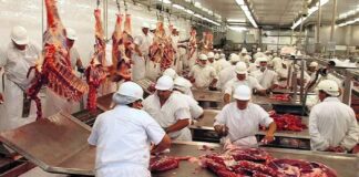 El complejo cárnico en 2025 sumo exportaciones por mas de U$S 4200 M en 2025