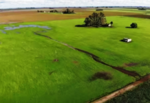 La reforma de la Ley de Tierras puede ser la llave para el desarrollo productivo