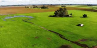 La reforma de la Ley de Tierras puede ser la llave para el desarrollo productivo