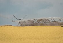 Riego para la producción agropecuaria: Córdoba dispuso cómo tramitar la rebaja del IVA