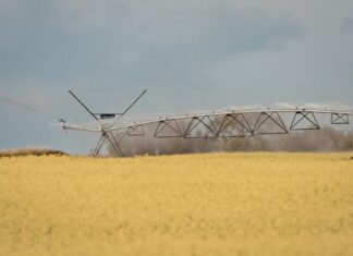 Riego para la producción agropecuaria: Córdoba dispuso cómo tramitar la rebaja del IVA