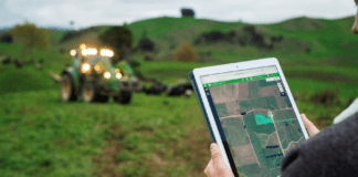 Efecto guerra: el Estado se queda con 62,5% de la renta agrícola, 6% más