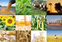 La liquidación de divisas para 2026 podría superar los 35.300 millones de dólares