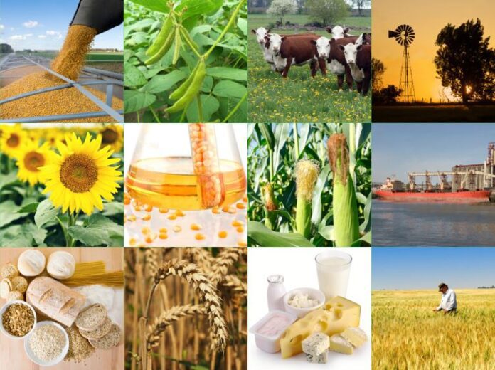 agroindustria-imagen