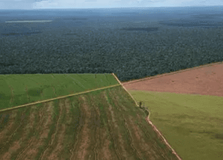 Sturzenegger sobre la Ley de Tierras Rurales: ‘Argentina se había prohibido crecer’