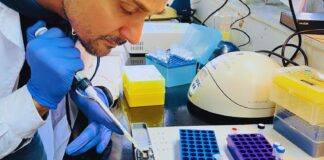 La chicharrita mete más presión que en 2025