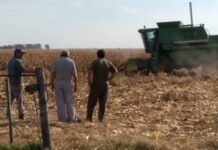 El Gobierno impulsa el Fondo de Asistencia Laboral que cambia el esquema de indemnizaciones