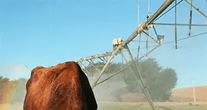 Rebajan a 10,5% el IVA para las tarifas de riego agroindustrial