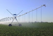 Regar los campos en Córdoba trae beneficios impositivos