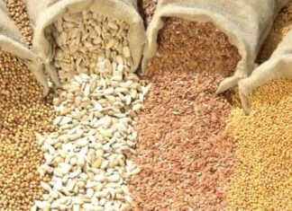 Semillas: el Gobierno busca reforzar la propiedad intelectual sin cambiar la ley