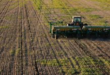 Trigo campaña 2026/27: con una buena disponibilidad hídrica se enfrenta a un desafío económico