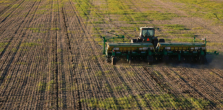Trigo campaña 2026/27: con una buena disponibilidad hídrica se enfrenta a un desafío económico