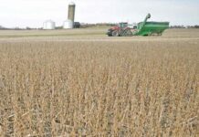 El desafío del agro argentino: cómo la innovación tecnológica emerge para cerrar la brecha histórica con Brasil