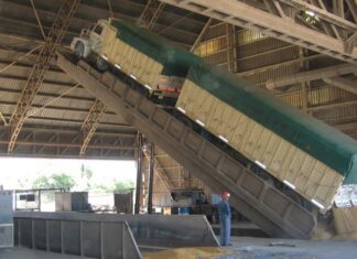 La actividad agropecuaria se sostiene en niveles récord