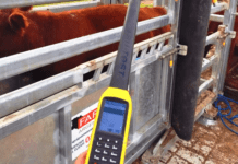 La identificación individual electrónica redefine la toma de decisiones