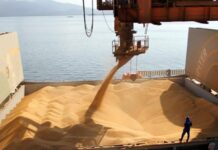 La liquidación de divisas del agro en 2026 se proyecta en US$ 35.375 millones