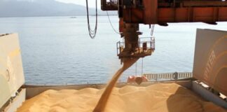 La liquidación de divisas del agro en 2026 se proyecta en US$ 35.375 millones