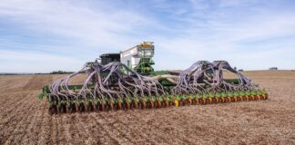 Trigo: el impacto del conflicto de Medio Oriente en los números del productor argentino