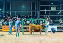 Camino de los campeones, el recorrido más desafiante