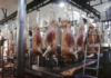 La exportación de carne bovina creció casi 54%