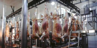 La exportación de carne bovina creció casi 54%