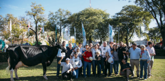 Una vaca de “La Lilia”, se consagró como Vaca Suprema en TodoLáctea